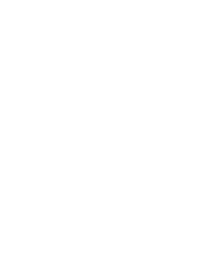 icon only white